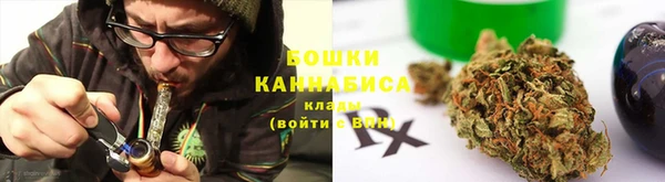 прущие грибы Алексин