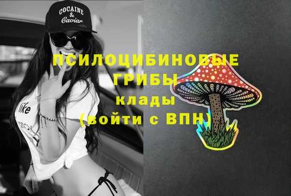 прущие грибы Алексин