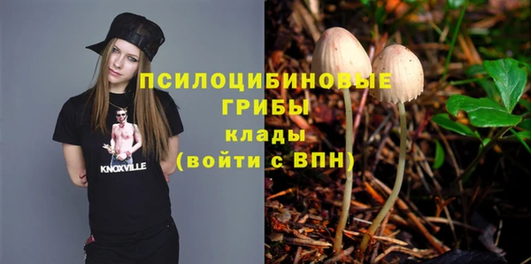 соль курить ск Алзамай