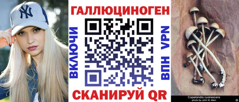 наркота  Микунь  Псилоцибиновые грибы Magic Shrooms 